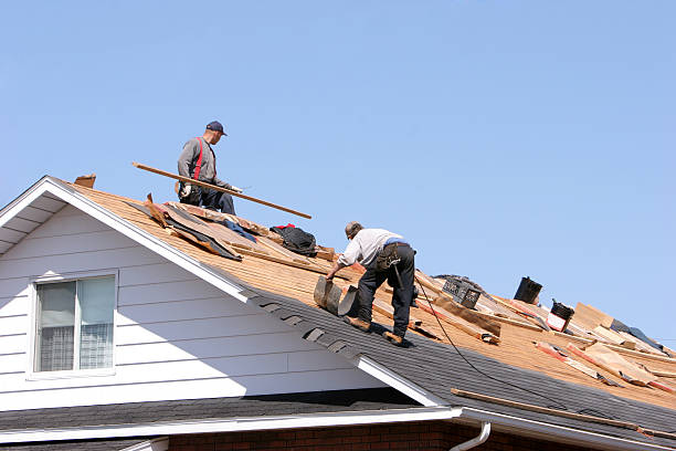 Best Roof Ventilation Installation  in Linton Hall, VA